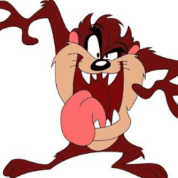 Taz